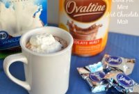 Slow Cooker Mint Malt Hot Chocolate Recipe