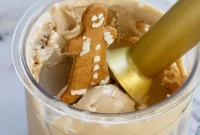 Gingerbread Ice Cream Recipe for the Ninja Creami