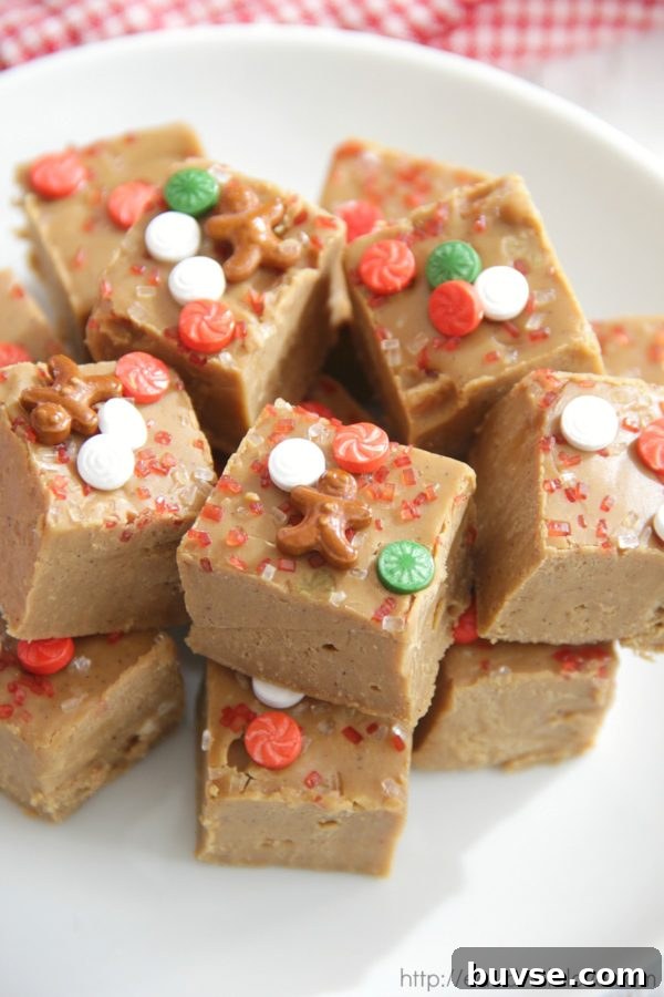 Gingerbread Fudge