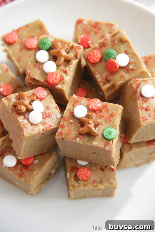 Gingerbread Fudge