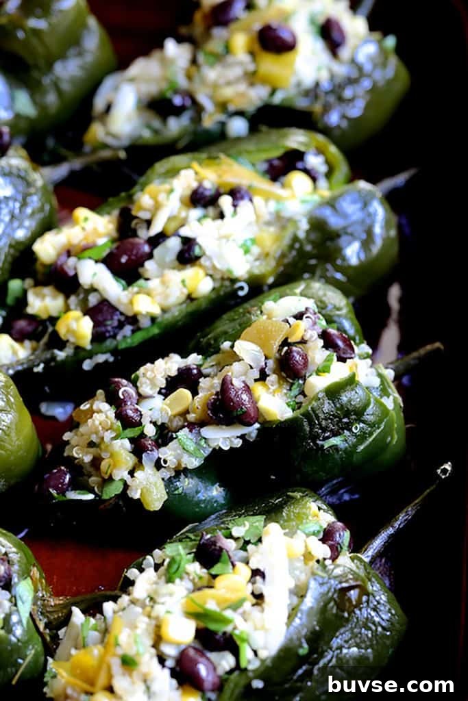 Photo of filled Poblano peppers before being sauced.