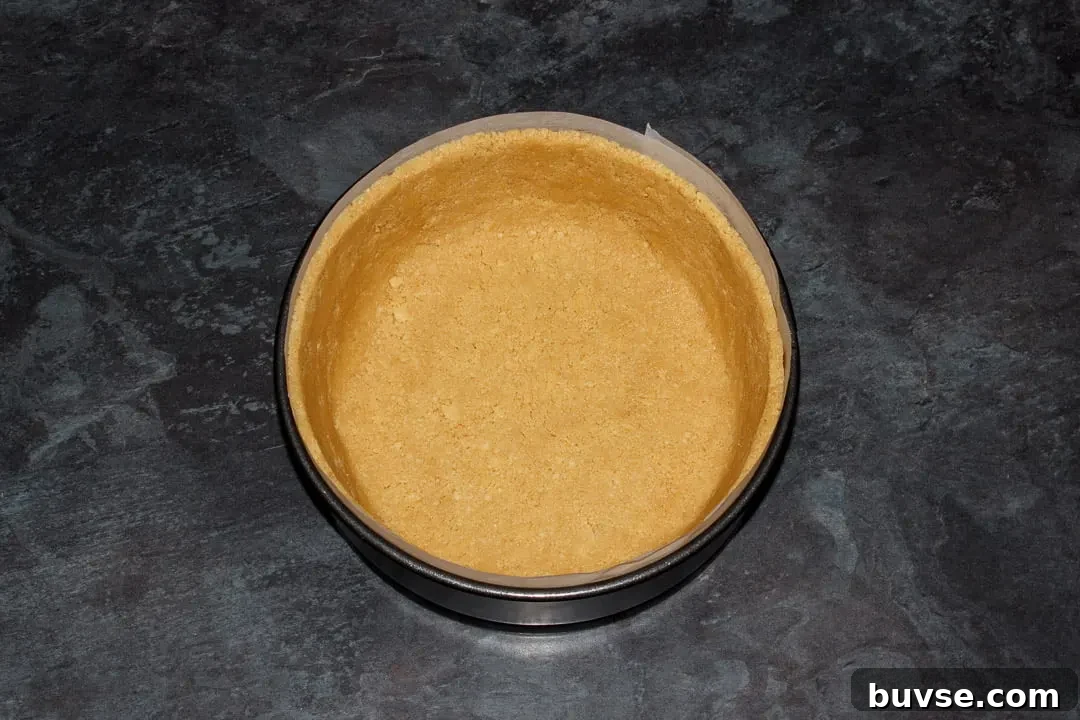 Biscuit crumbs pressed into the base and sides of a lined springform pan