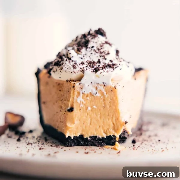 Slice of Peanut Butter Pie with a bite out of it.