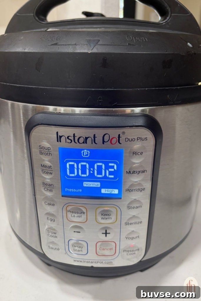 an image of an instant pot.