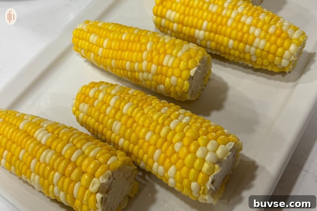 corn on the cob horizontal image.