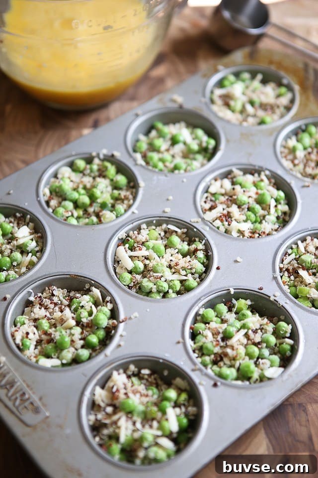 muffin tin filled with quinoa, peas and cheese mixture before adding eggs