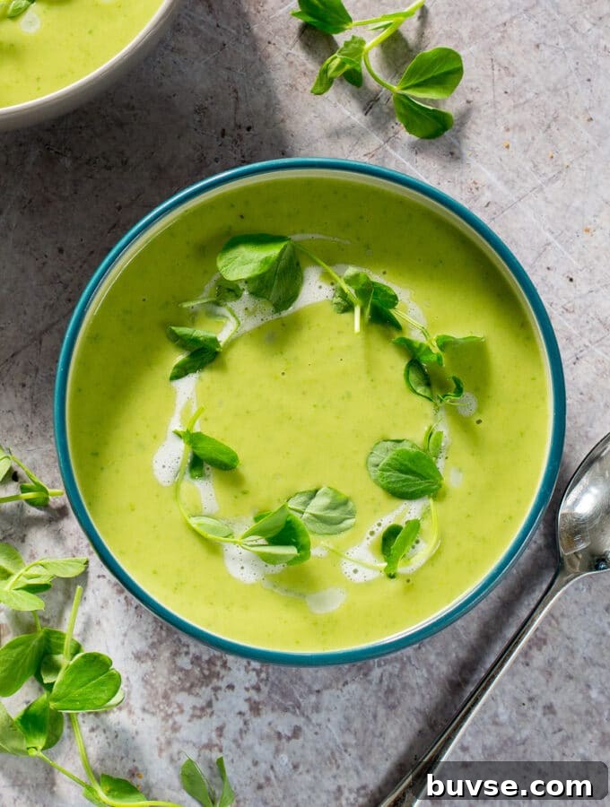 Creamy Vegan Porcini Mushroom Soup Recipe 11 Fennel Soup