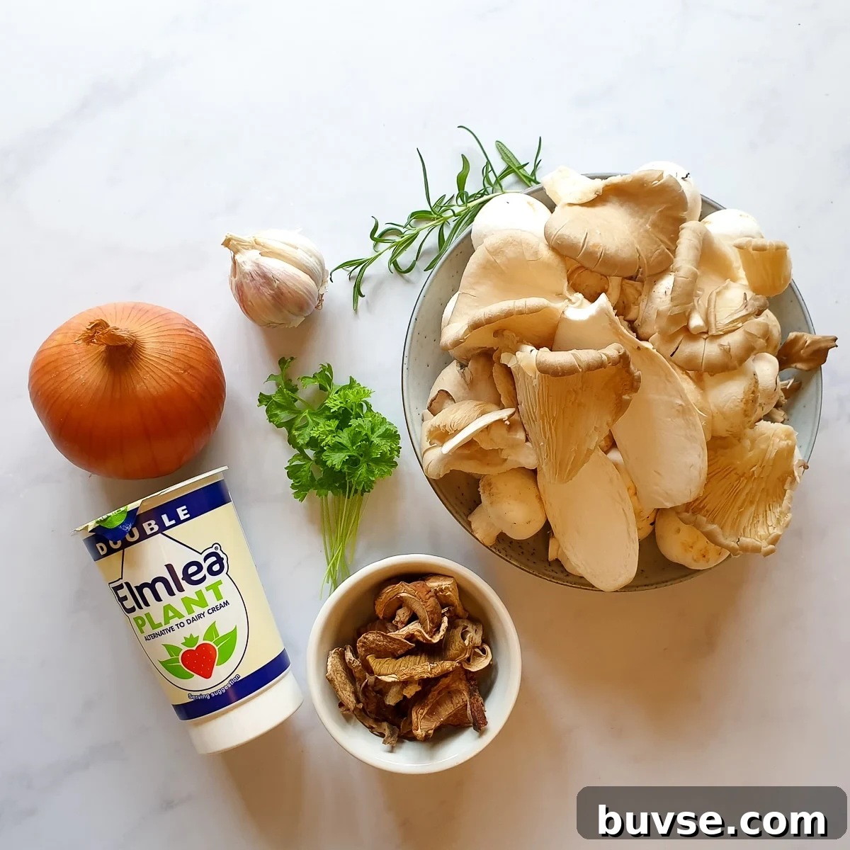 Creamy Vegan Porcini Mushroom Soup Recipe 3 Porcini Soup - vegan ingredients
