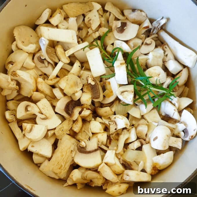 Creamy Vegan Porcini Mushroom Soup Recipe 7 img 11294 6