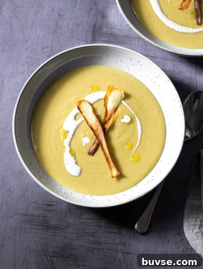 Creamy Vegan Porcini Mushroom Soup Recipe 9 Curried Parsnip Soup