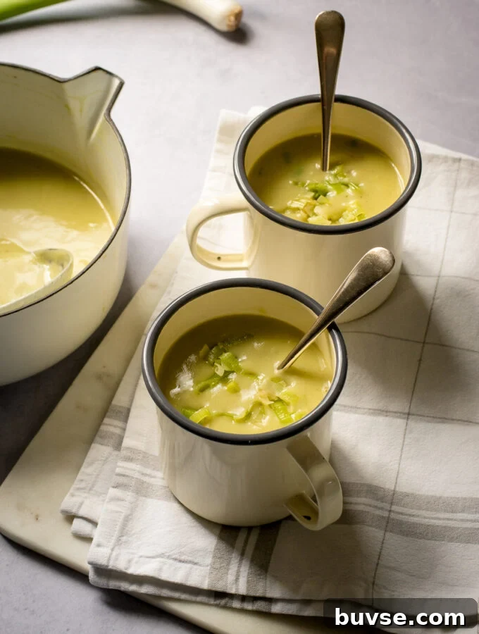 Creamy Vegan Porcini Mushroom Soup Recipe 10 Vegan Leek and Potato Soup