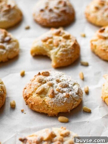 Angled view of baked Italian pignoli cookies on a baking sheet covered with white parchment paper. One cookie has a bite taken out.
