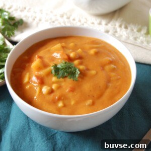 Indian Spiced Vegetable Chickpea Soup