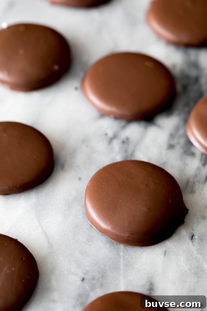 Chocolate mint cookies arranged on an angle across a marble slab