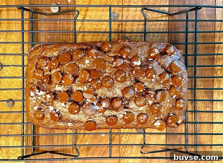 Double Chocolate Zucchini Bread 10 Adding chocolate chips to the top, while on a cooling rack.