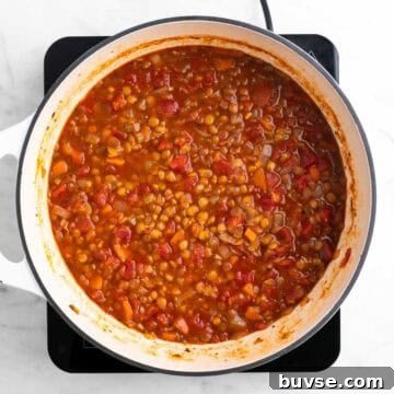 Cooked vegan lentil soup in a large pot before adding salt and black pepper.