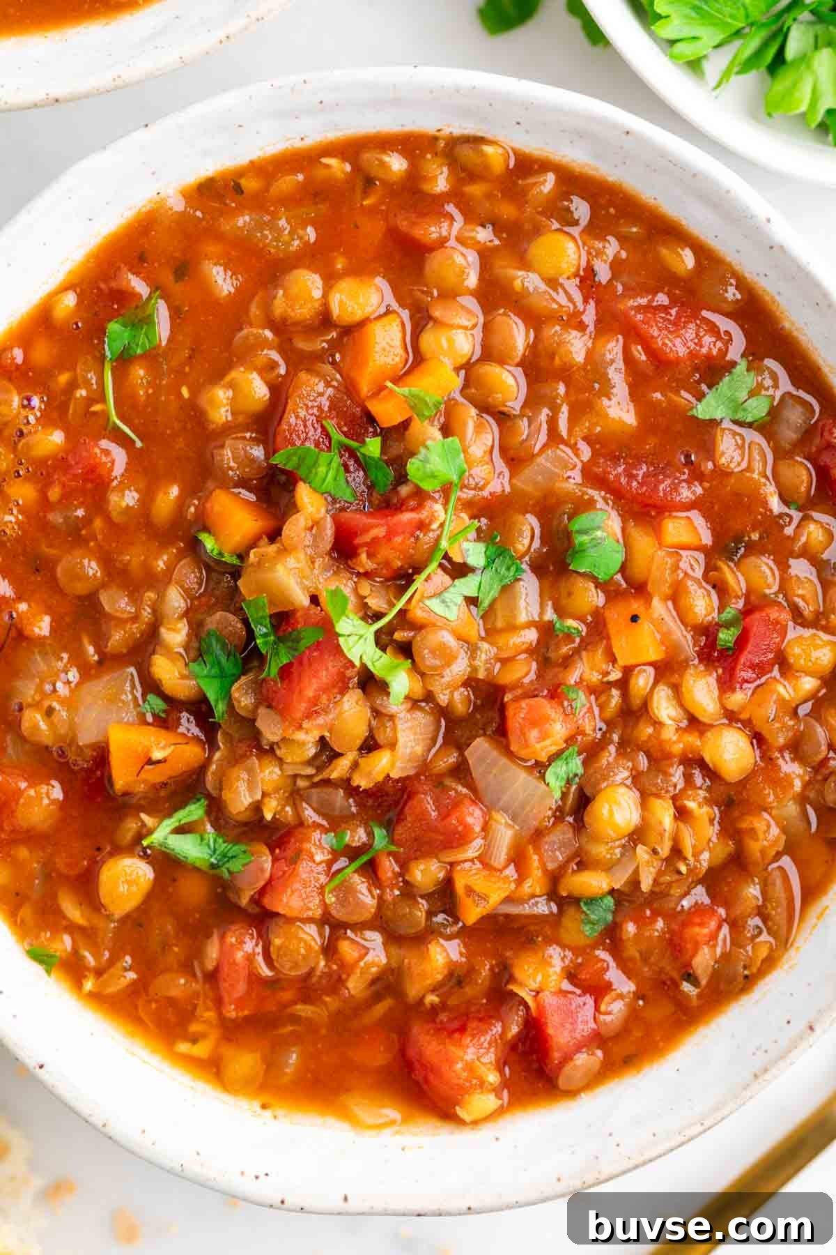 Bowl of vegan lentil soup topped with fresh parsley.