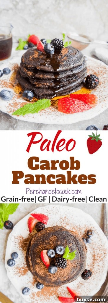 Paleo Carob Pancakes (GF) | Perchance to Cook, www.perchancetocook.com