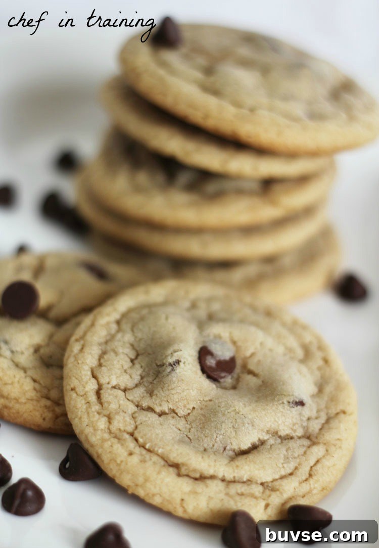 IMG_6682-2 Mom's chocolate chip cookies