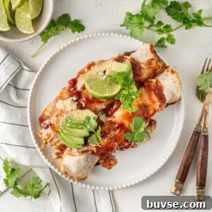Flavorful Dairy-Free Chicken Enchiladas Recipe 14 img 15736 13