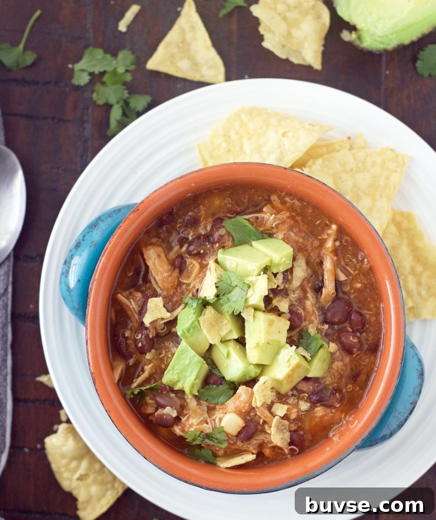 Instant Pot Chicken Enchilada Soup with Quinoa - serving suggestion