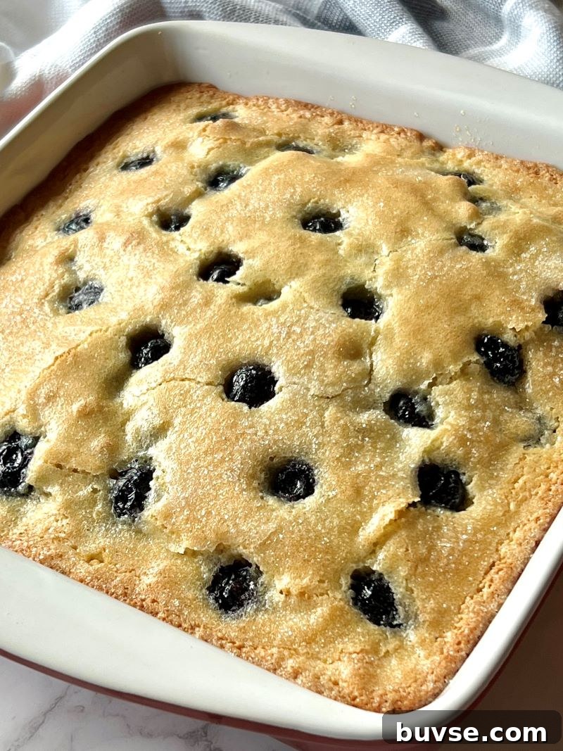 Blueberry buckle baked in a baking pan. 