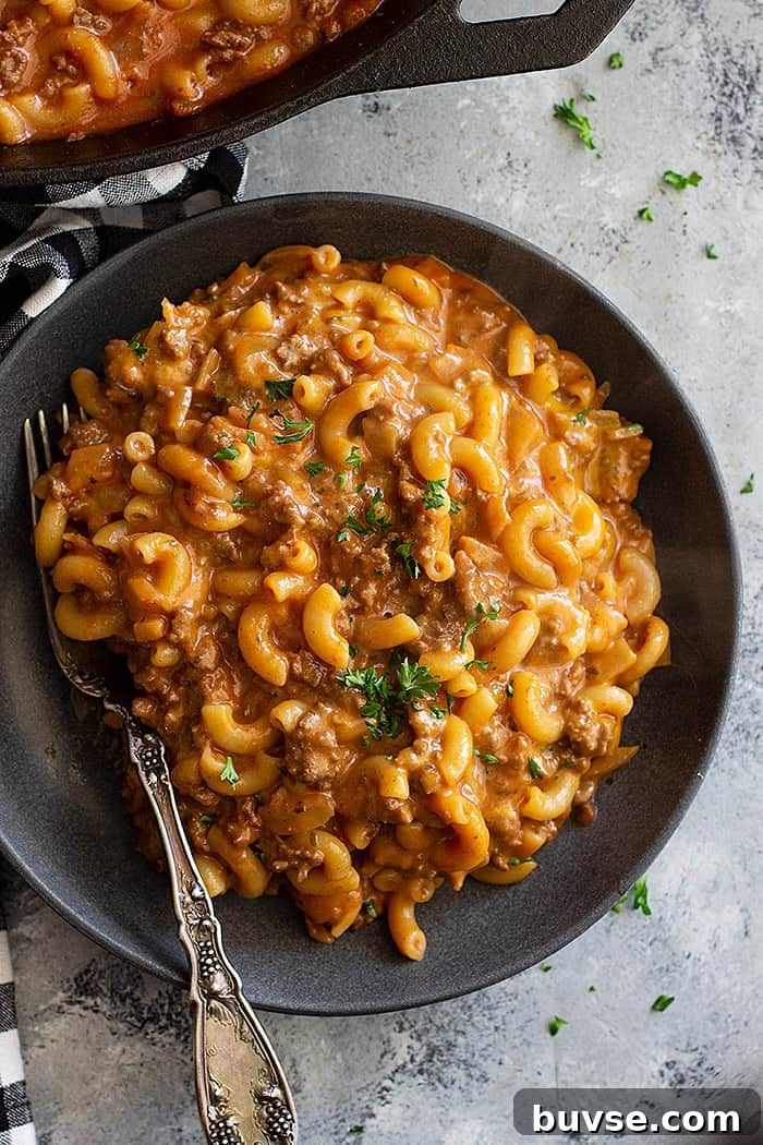 Pantry Recipes: Creative Shelf Cooking with Staples 12 A plate piled high with hamburger helper and garnished with parlsey.