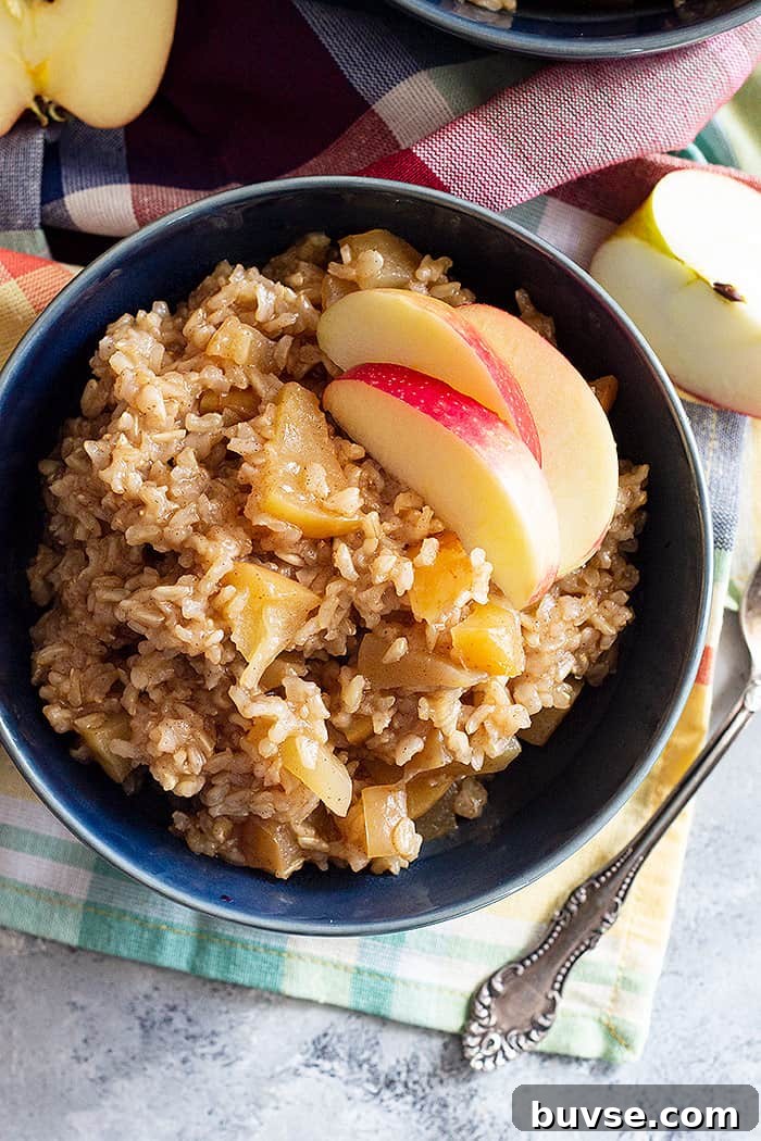 Pantry Recipes: Creative Shelf Cooking with Staples 4 Top down view of Slow Cooker Cinnamon Apple Breakfast Rice topped with fresh apple slices.