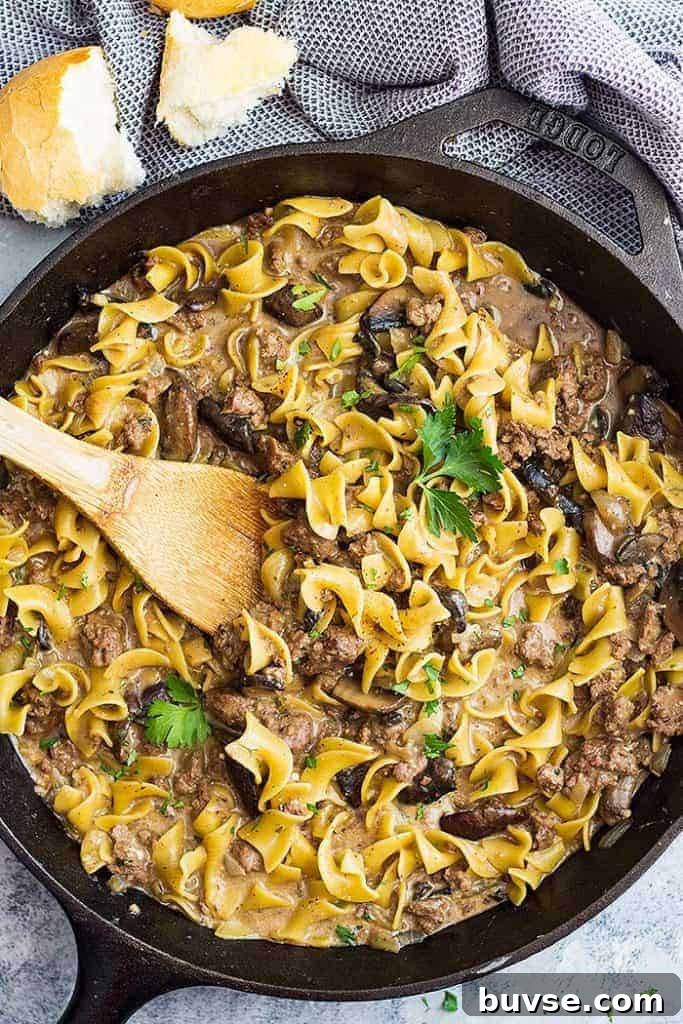Pantry Recipes: Creative Shelf Cooking with Staples 40 A top down view of one pot hamburger stroganoff in a pan with a spoon.