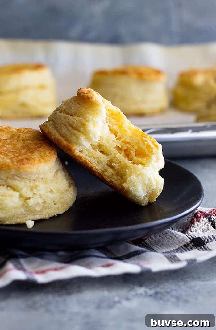 Pantry Recipes: Creative Shelf Cooking with Staples 48 How to make flaky buttermilk biscuits. This guide will show you everything to make fluffy, buttery, flaky biscuits. #homemadebiscuits #buttermilkbiscuits #bread #biscuitrecipe