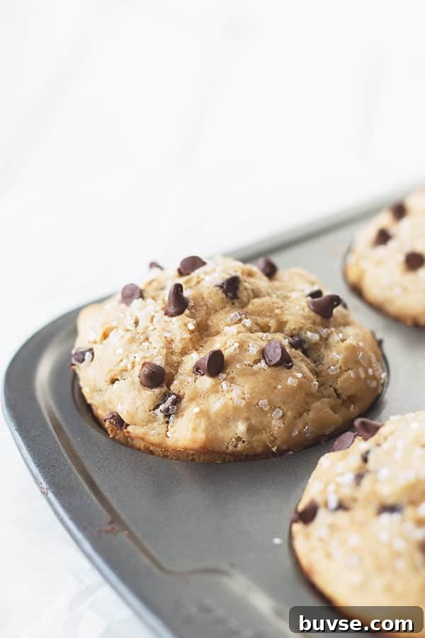 Pantry Recipes: Creative Shelf Cooking with Staples 63 Peanut Butter Chocolate Chip Muffins- an easy muffin that is tender, packed with peanut butter flavor and studded with mini chocolate chips! | countrysidecravings.com