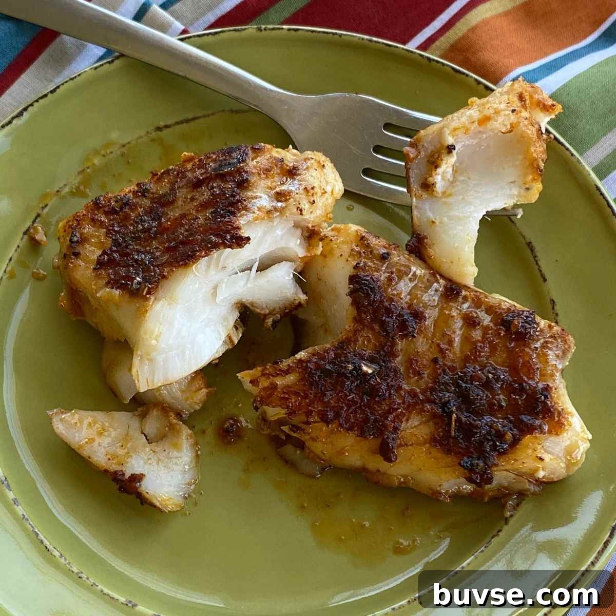 Blackened cod fish fillet on a plate with fork holding a bite to see white flaky flesh.