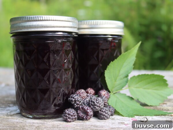 Rose Petal Jelly Recipe: How to Make Floral Jam 9 Black Raspberry Jelly