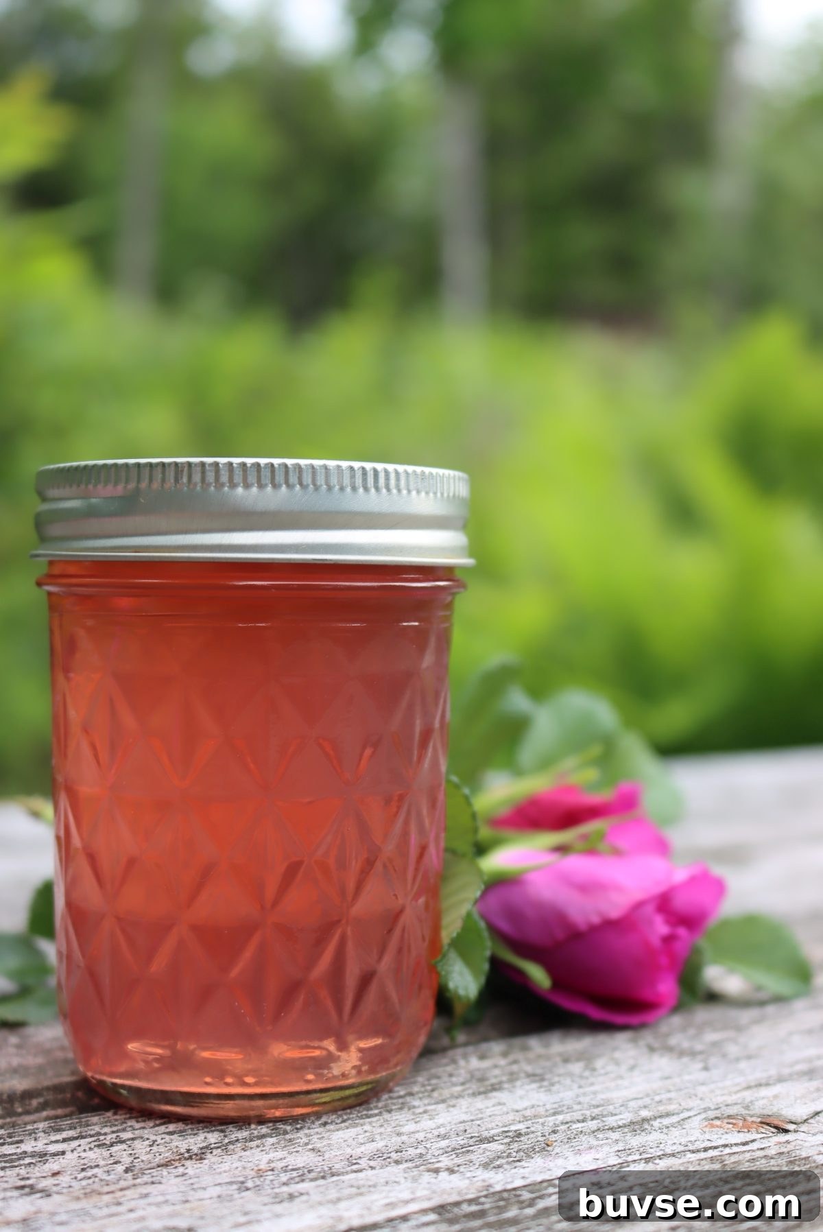 Rose Petal Jelly Recipe: How to Make Floral Jam 5 Rose Petal Jelly