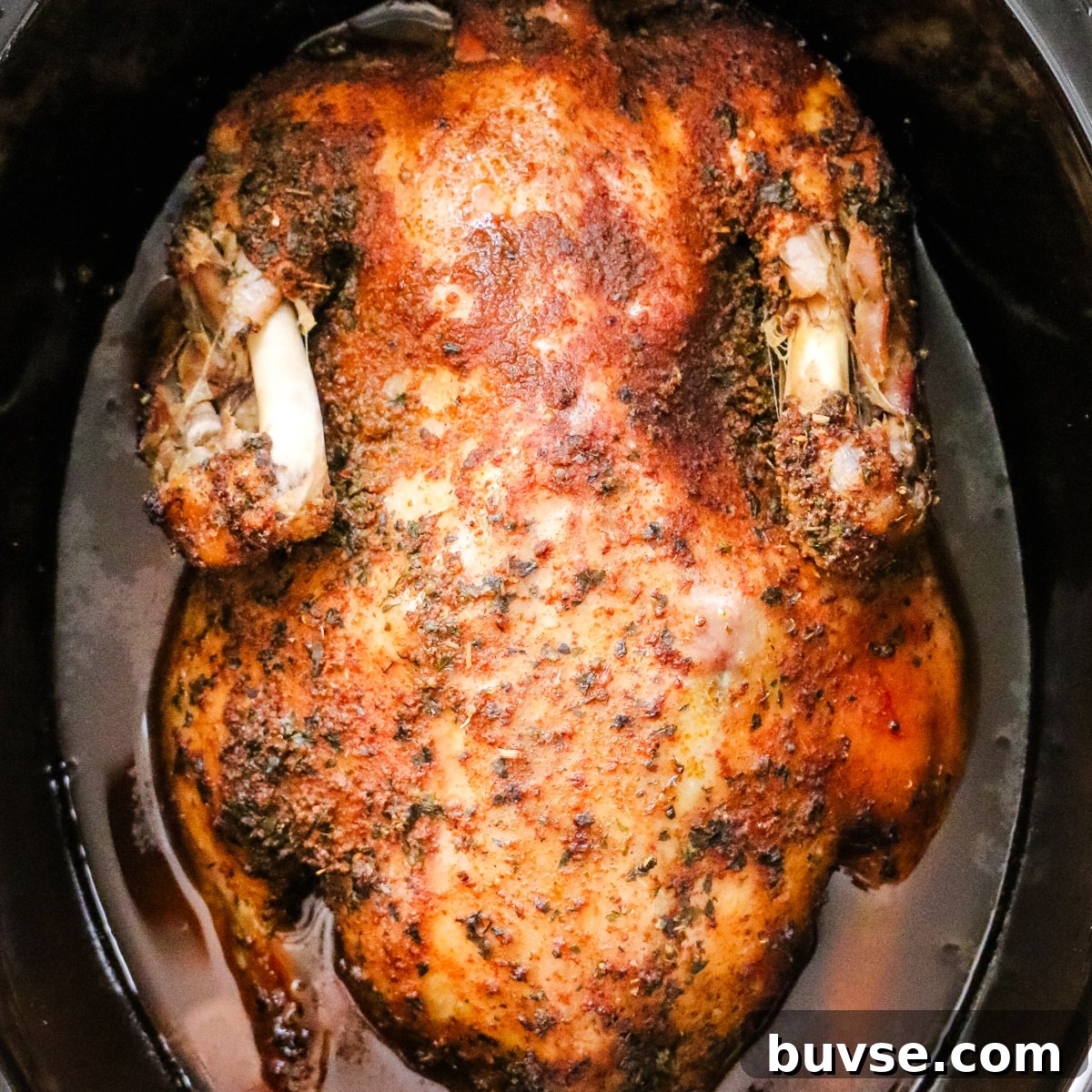 Slow Cooker Duck Recipe for Tender, Flavorful Meat 10 A duck seasoned with garlic tossed in a slow cooker.