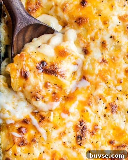 13 Side Dishes to Serve with Meatballs 5 Ultimate Creamy Baked Mac And Cheese Feat