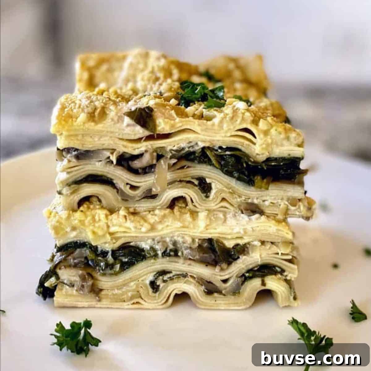 Creamy Vegan White Sauce Lasagna Recipe 2 Vegan white sauce lasagna recipe on a plate served with parsley garnish.