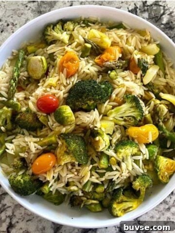 Easy Vegetable Orzo