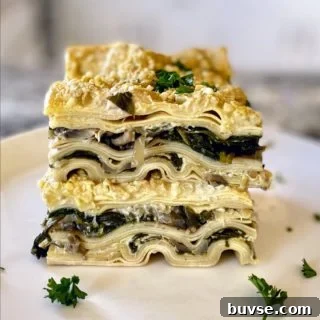 Vegan white sauce lasagna