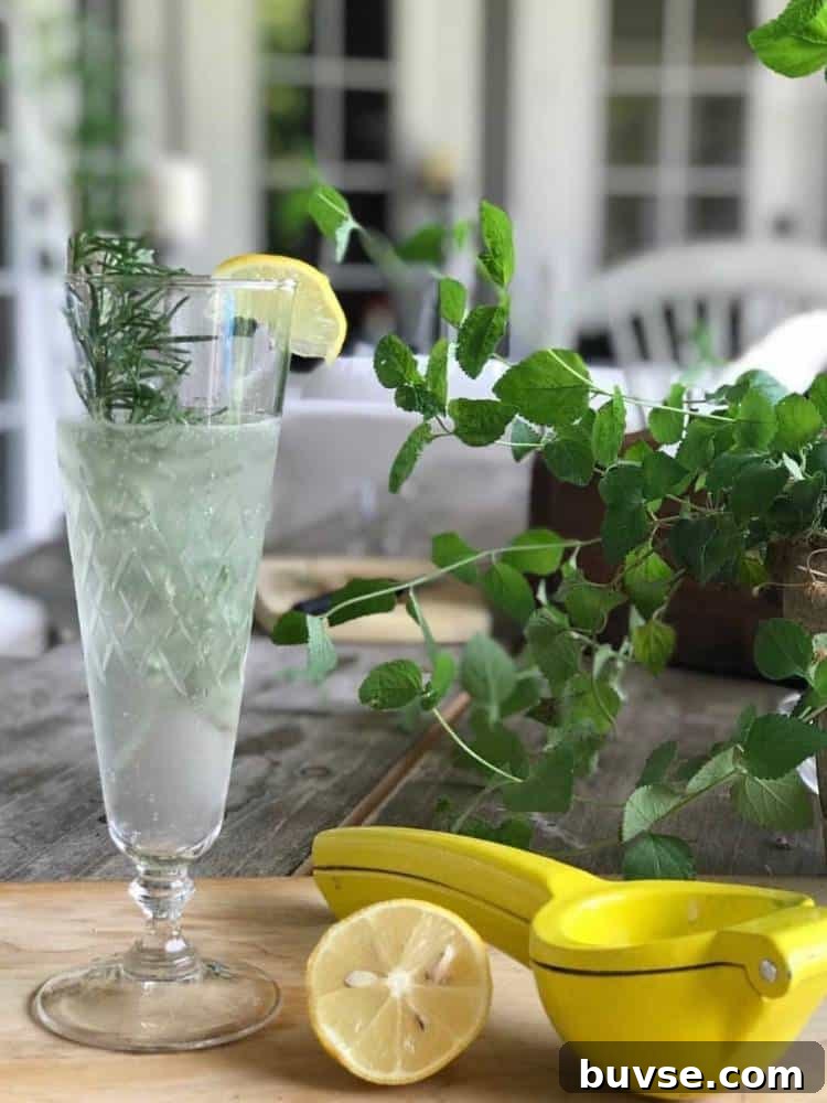 Refreshing Summer Picnic Menu Ideas to Wow Guests 4 Tall pedestal glass with a citrus cocktail garnished with a lemon wedge and a sprig of fresh parsley sitting on a table next to a juicer and half a lemon.