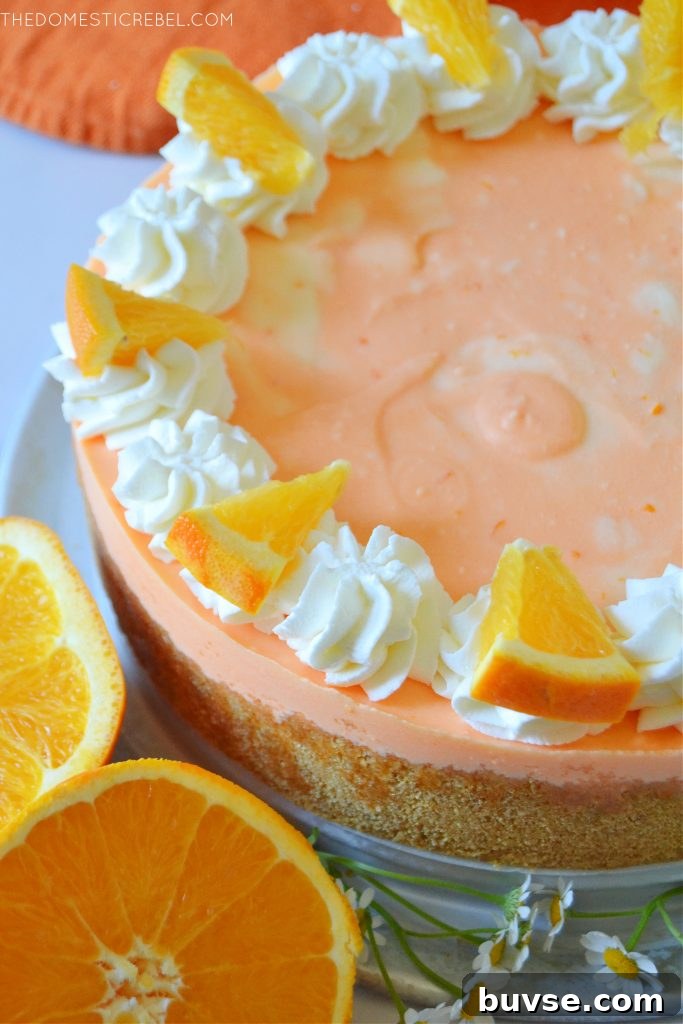 orange creamsicle cheesecake with orange rounds