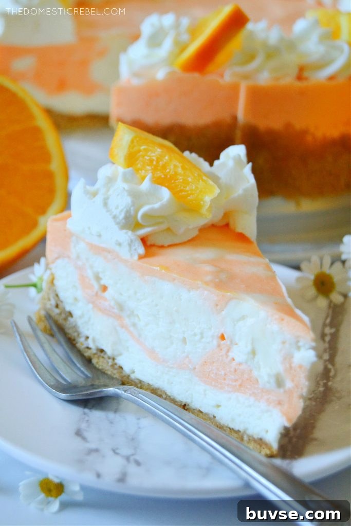 a closeup slice photo of a piece of orange creamsicle cheesecake