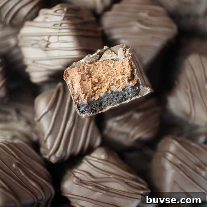 Chocolate Cheesecake Bites