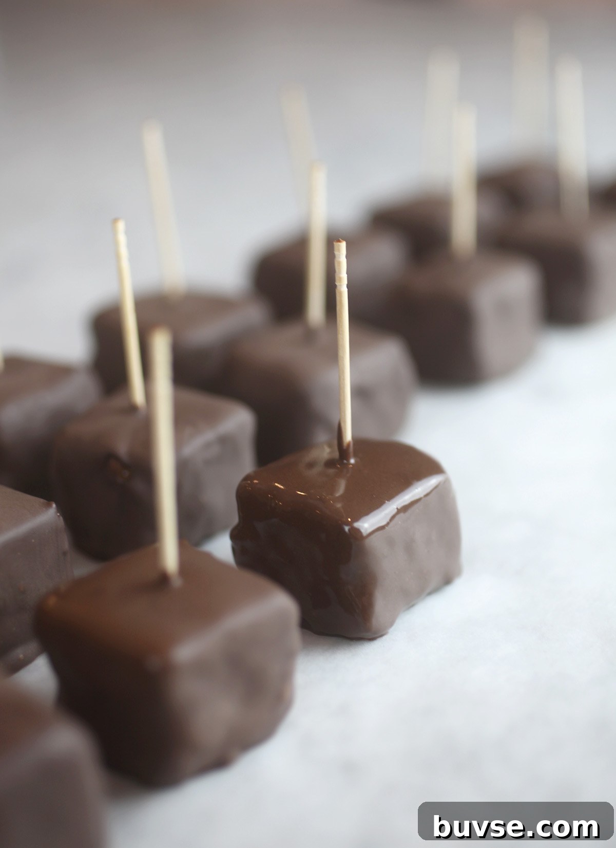 Mini Chocolate Cheesecake Bites Recipe 8 img 23723 7