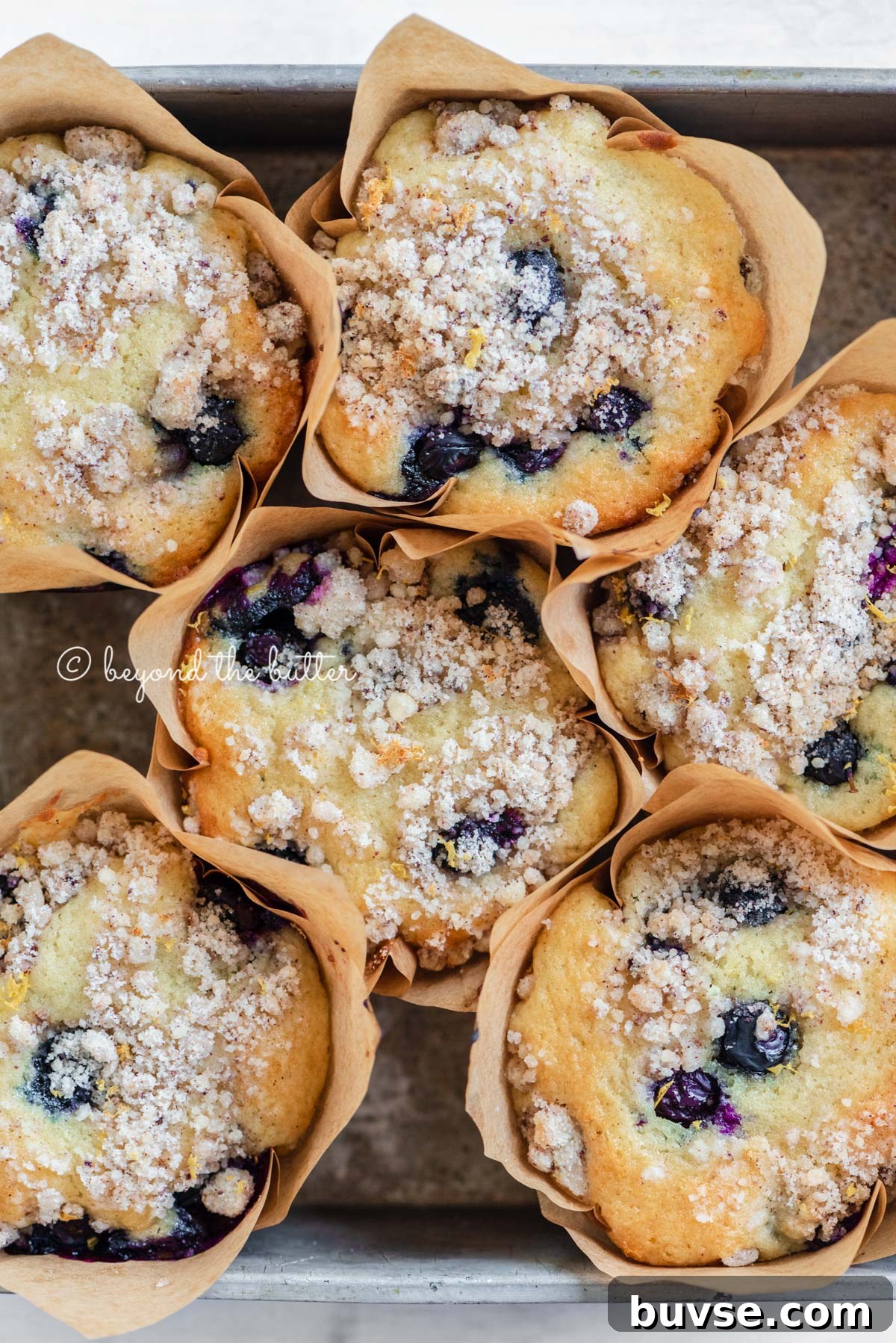 Bakery-Style Lemon Blueberry Muffins with Streusel Topping 2 Baking tray filled with bakery style lemon blueberry muffins garnished with slices of lemons and blueberries | All images © Beyond the Butter®