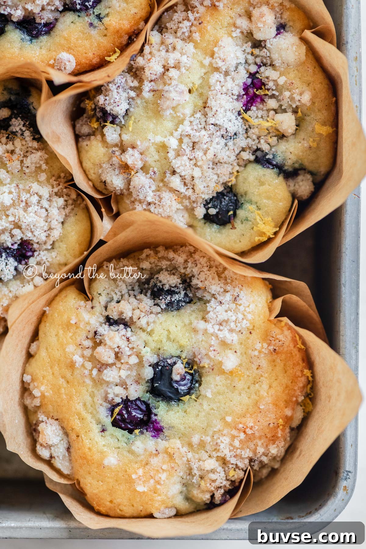 Bakery-Style Lemon Blueberry Muffins with Streusel Topping 11 Baking tray filled with bakery style lemon blueberry muffins garnished with slices of lemons and blueberries | All images © Beyond the Butter®