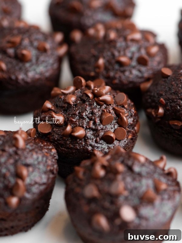Bakery-Style Lemon Blueberry Muffins with Streusel Topping 14 Mini chocolate banana muffins topped with mini chocolate chips placed close together on a white background.