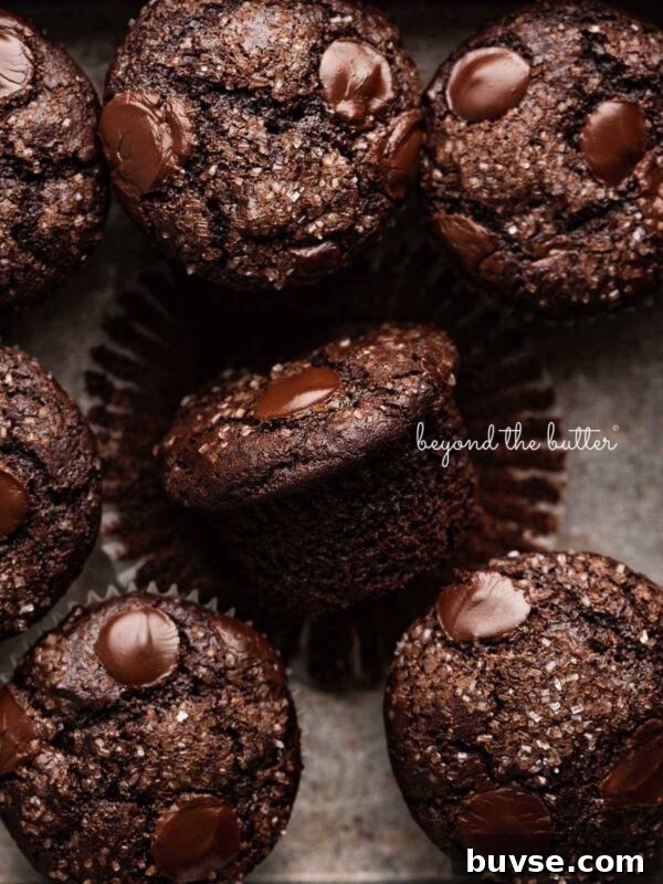 Bakery-Style Lemon Blueberry Muffins with Streusel Topping 16 Double chocolate muffins randomly placed in a vintage metal baking tin.
