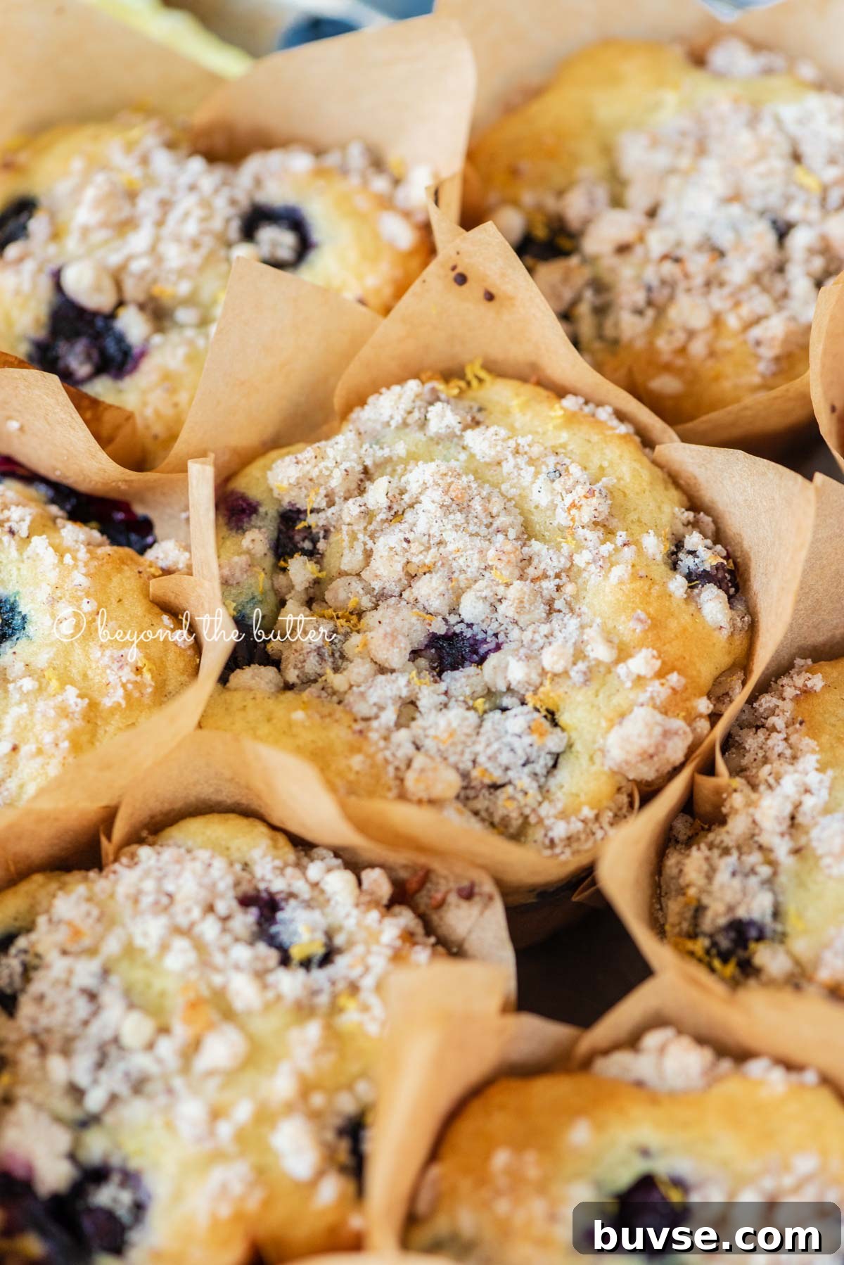 Bakery-Style Lemon Blueberry Muffins with Streusel Topping 7 Baking tray filled with bakery style lemon blueberry muffins garnished with slices of lemons and blueberries | All images © Beyond the Butter®