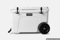 Top Grilling Gifts for Grillers and BBQ Lovers 2023